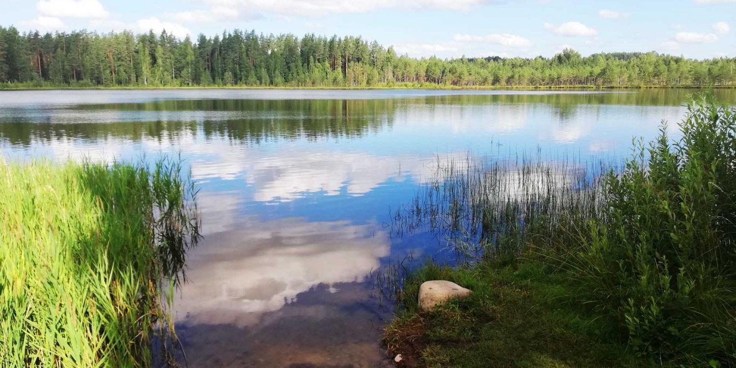 Räimi lake swimming place - Visit Valga Valka